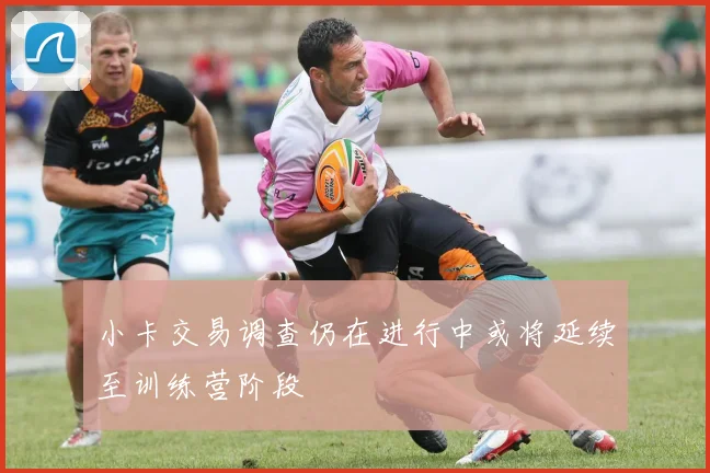 小卡交易调查仍在进行中或将延续至训练营阶段