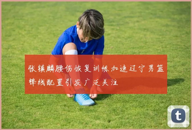 张镇麟腰伤恢复训练加速辽宁男篮锋线配置引发广泛关注